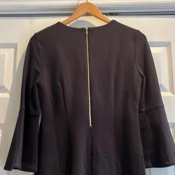 The Limited Dress - Picture 3 of 5